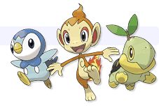 木木枭三段进化，宝可梦全御三家最终形态