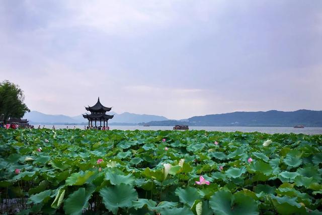 喝汤真的有营养吗，喝汤真的更有营养吗