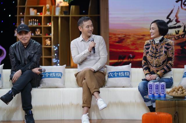 张嘉译家庭剧，五部经典高分家庭剧