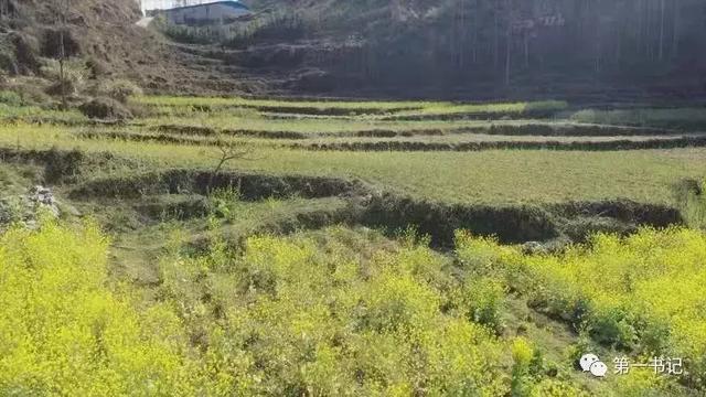 郭沫若天上的街市，关于郭沫若的天上的街市（七年级语文上册二十课《天上的街市》课文笔记）