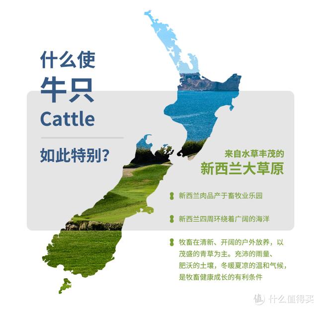 常见的牛排种类和搭配，你需要知道的都在这里