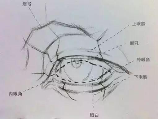 素描眼睛的画法，素描眼睛的基本画法步骤（素描必看，眼睛画法，细节讲解）