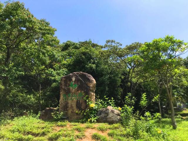 杨梅坑鹿嘴山庄，鹿嘴山庄游玩攻略