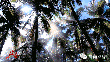 海口有什么好玩的景点，海南最值得玩十大景点（海南50个景点大全）