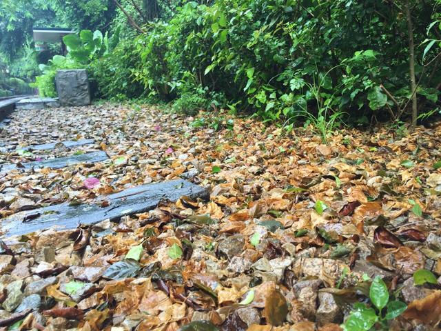 厦门岛内最大公园，厦门岛内6大公园