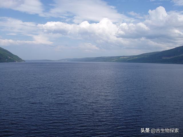 神秘的尼斯湖水怪来自哪里，流传千年的尼斯湖水怪可能只是条大鳗鱼