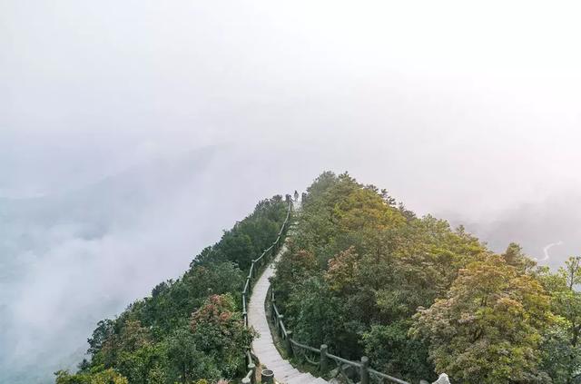 深圳十大山风景区，推荐10个非常值得一去的登山打卡点