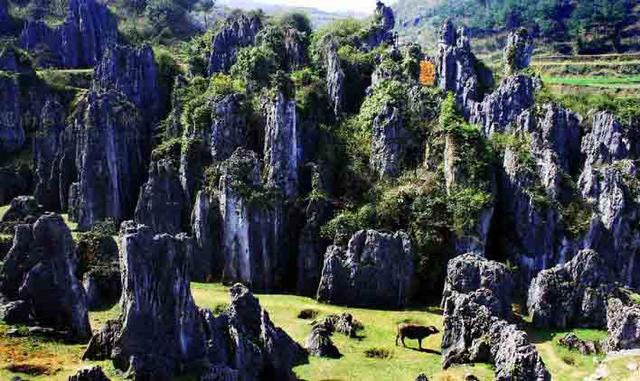 铜仁地区旅游景点有哪些，铜仁最美的10大景区