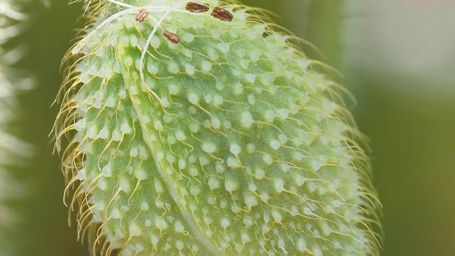 奥林巴斯em1，奥林巴斯em1mark3测评