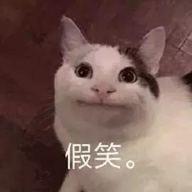 猫可以喝椰奶吗，椰子无糖酸奶猫能吃吗（你应该知道猫和牛奶的这些历史）