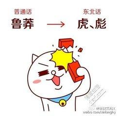 最标准的东北话在哪，70个东北方言词汇