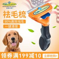 可爱的柯基怎么养成的，一步到位教你养好柯基狗