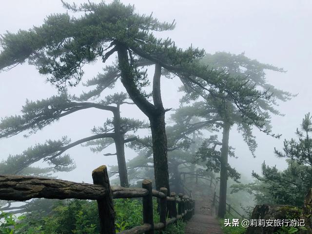 徒步南迦巴瓦峰最佳观景台，雾中徒步薄刀峰