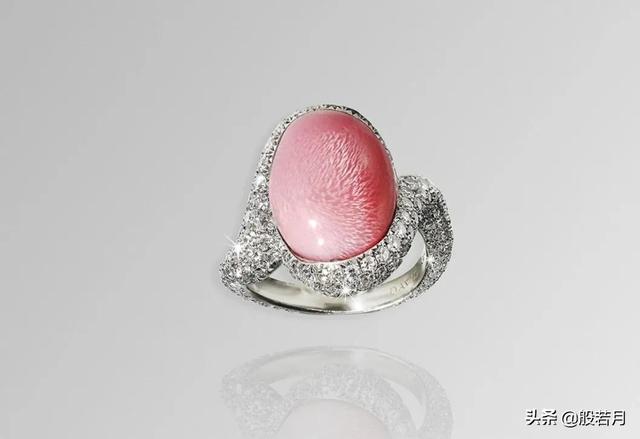 砗磲和白蝶贝，你只知道贝王砗磲