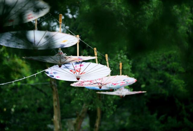 非遗花纸伞，遇见非遗油纸伞