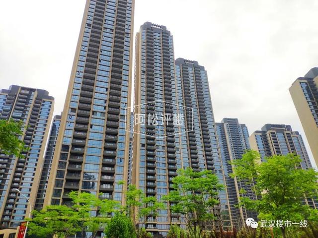 公建化外立面施工需要搭架子吗，公建化外立面是个什么东西