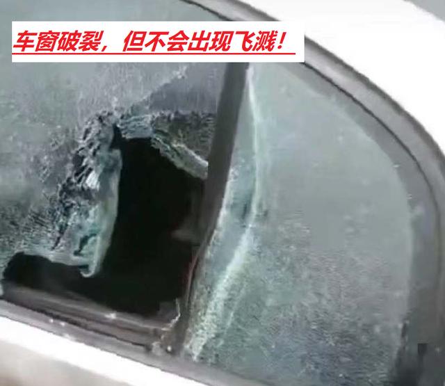 老虎能拍碎汽车玻璃吗，老虎能打碎汽车玻璃吗（老虎拍碎玻璃 游客逃窜）