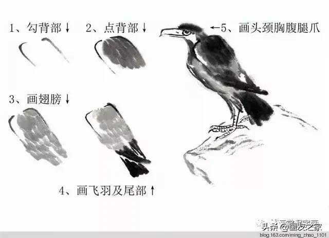 花鸟工笔画的基本步骤，工笔花鸟画法合集