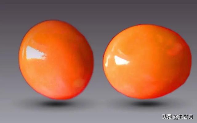 砗磲和白蝶贝，你只知道贝王砗磲