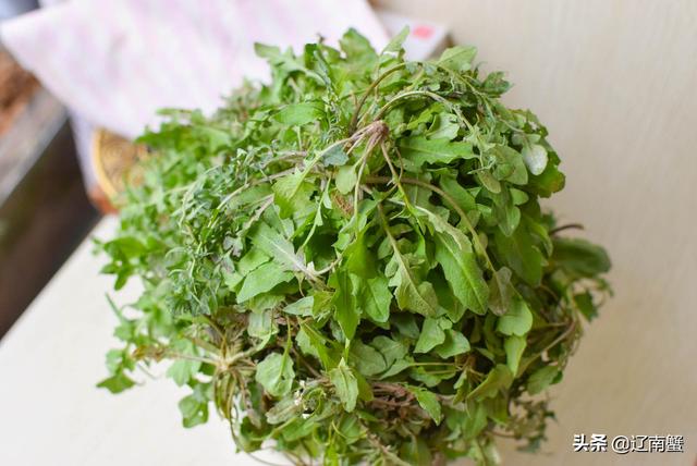 春季尝鲜荠菜一定要有，荠菜15种做法