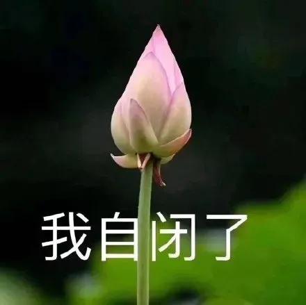 表示欢迎的表情包，中老年人专用表情包欢迎（表情包：恭贺大家，喜迎周末）