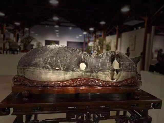 乌石是什么石头，乌石有甲纹石