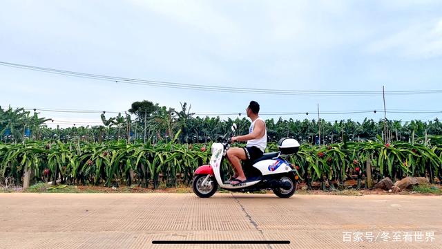 硇洲岛旅游攻略，湛江硇洲岛景点（探秘南极村+硇洲岛+东海岛+特呈岛）