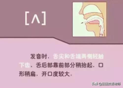 英语音标怎么学，初学英语者必看如何学习国际音标（资深老教师说：音标就该这样学）