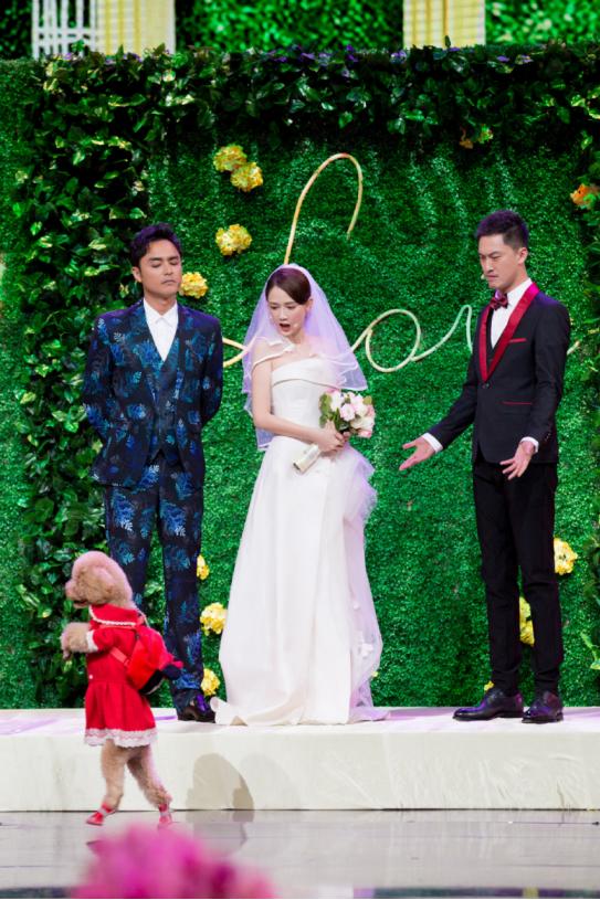 明道陈乔恩婚纱照，陈乔恩唯美婚纱写真曝光