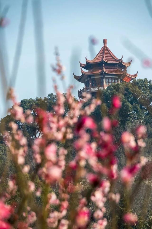 适合12月份去的旅行地，2月绝美旅行地推荐