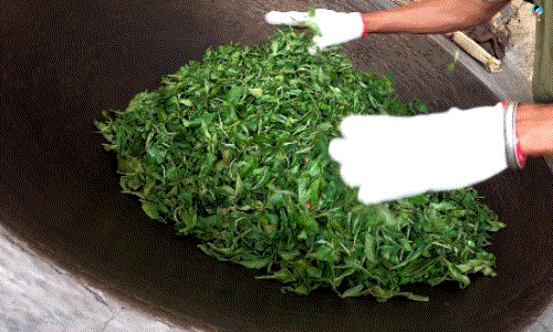 手工制茶的六个步骤，南茗佳人手工制茶过程全公开