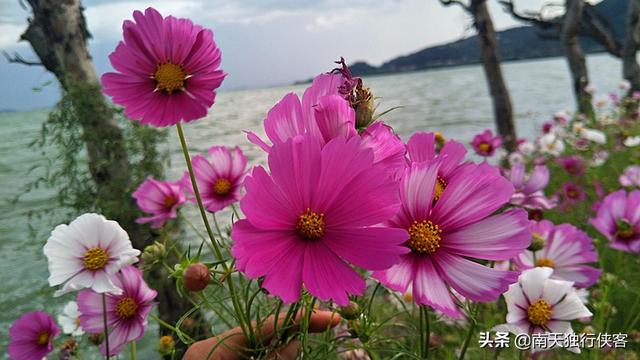 现在云南滇池游玩攻略，纵走昆明石城小人国