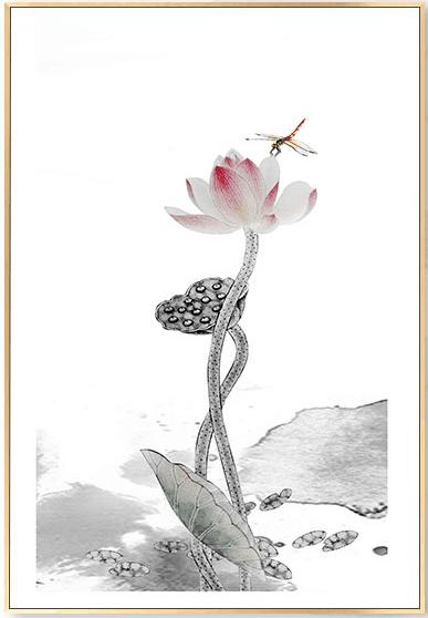 荷花深处有禅意，禅意的荷花