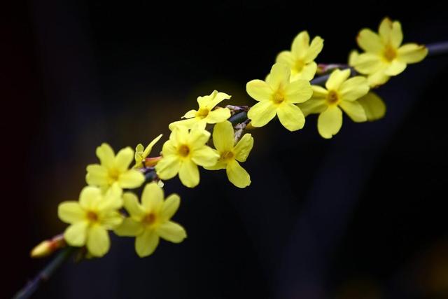 人与人之间的关系要有点距离，人跟人之间最合适的距离