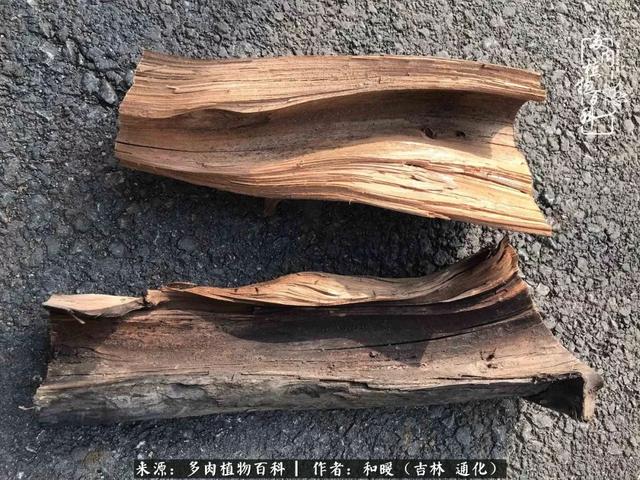 买肉，买肉的正确方法和注意事项