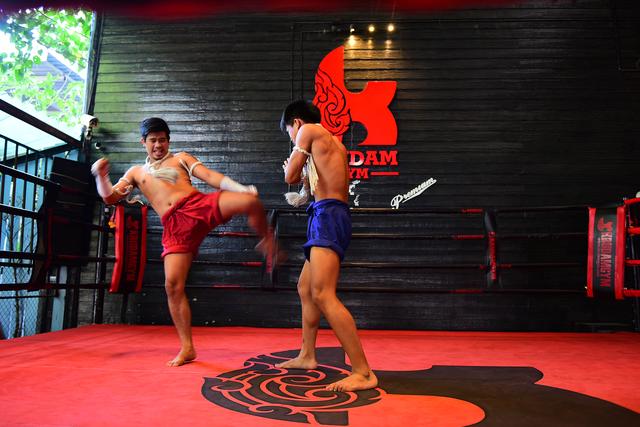 泰拳电影有哪些，推荐三部个人觉得非常不错的泰国动作电影