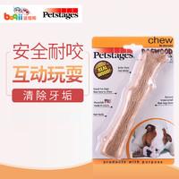 可爱的柯基怎么养成的，一步到位教你养好柯基狗