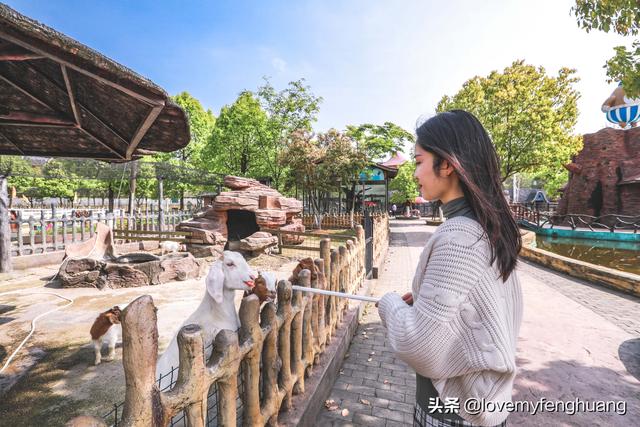 安吉旅游必去的景点，安吉旅游攻略必去景点推荐