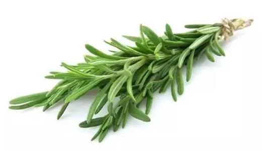 头皮螨虫是什么原因造成的，头上出现这3个迹象