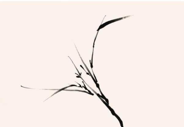 国画竹子的竹枝怎么画，国画竹竿竹枝画法
