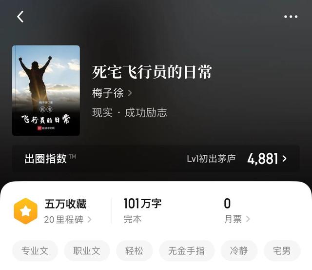 腾飞我的航空时代，民航类题材的小说（今日推荐《腾飞我的航空时代》想象不到的旅程）