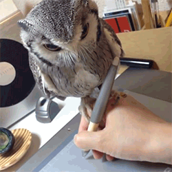 初中英语熬汤用英语怎么写，喝汤是drink