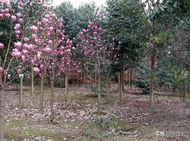 婆媳之间的矛盾产生的原因，婆媳之间发生矛盾的真正原因有哪些