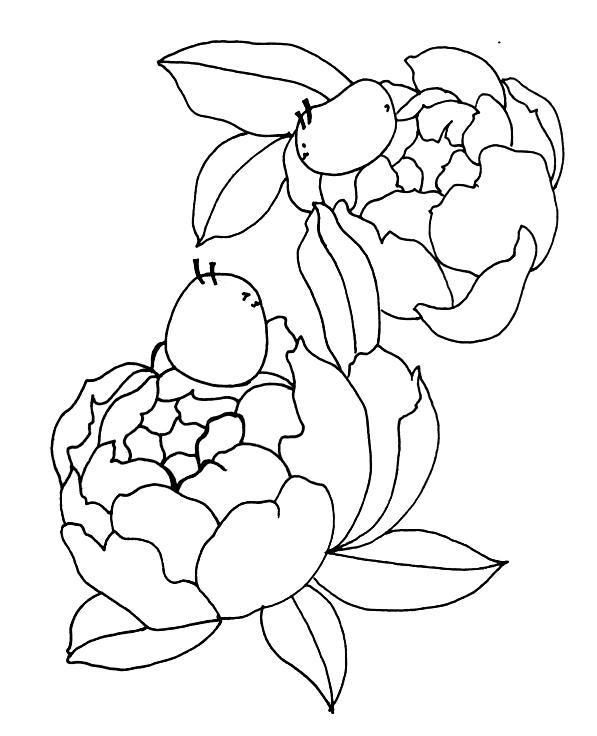 简单易学的画画，简笔画简单易学基础