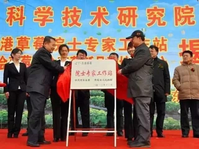 丹东草莓图库，草莓在我国栽培还没有100年