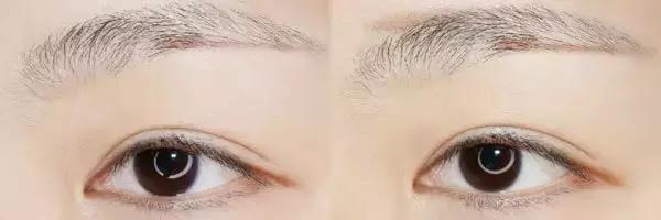 每一个人的脸长相都像明星，你喜欢那个明星的脸形