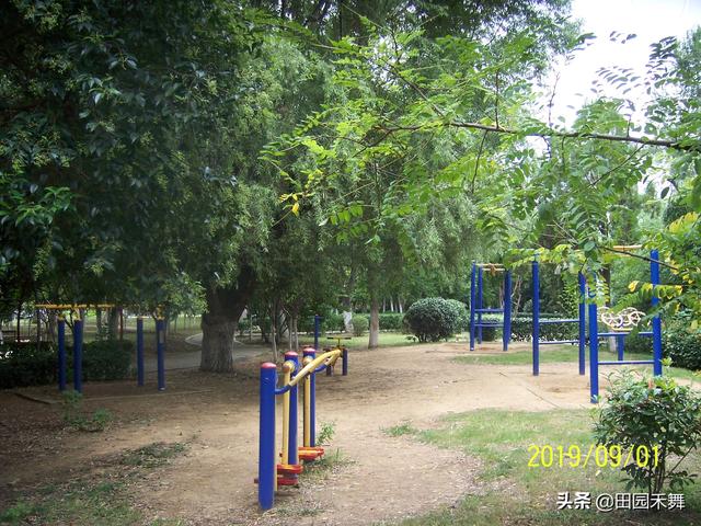 连云港新浦公园，连云港新浦公园在什么位置