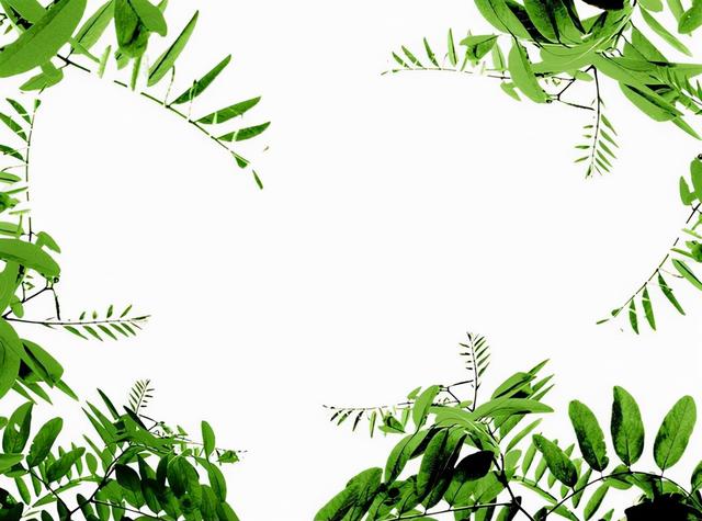 ps新手快速入门6，Ps小白成长记第31天