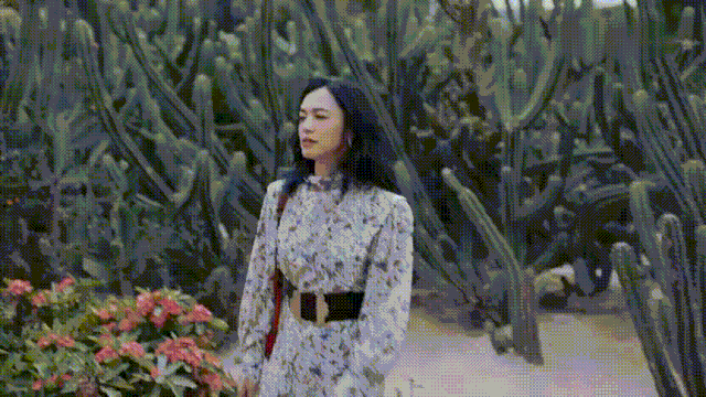 厦门网红打卡地不凡之地，厦门这些网红地