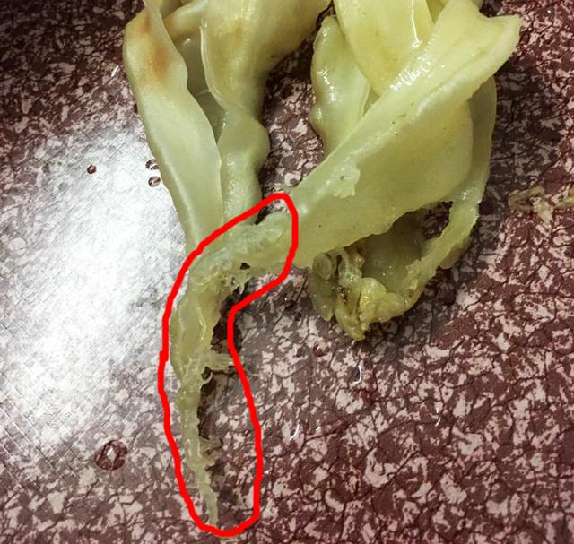 高级鱼胶品鉴，大口赤嘴鱼胶近来很火